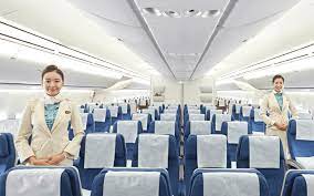 Economy Class Services Before Flight | Korean Air